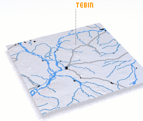 3d view of Tebin