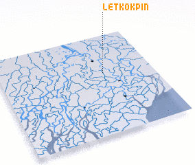 3d view of Letkokpin