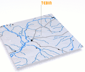 3d view of Tebin