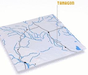 3d view of Tamagon