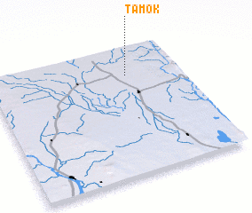 3d view of Tamok
