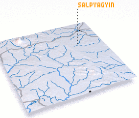 3d view of Salpyagyin