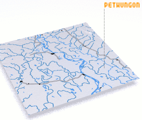 3d view of Petwungon