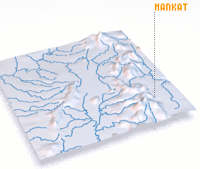 3d view of Mankat