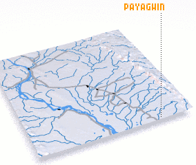 3d view of Payagwin