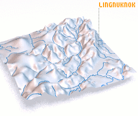 3d view of Lingnuk Nok