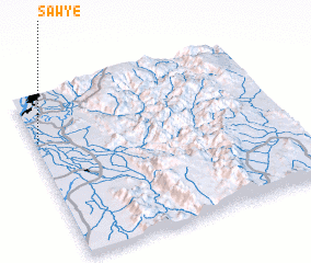 3d view of Sawye