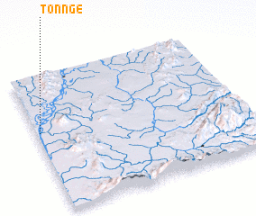 3d view of Tonnge