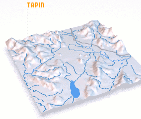 3d view of Tapin