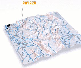 3d view of Payazu