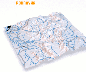 3d view of Ponnaywa