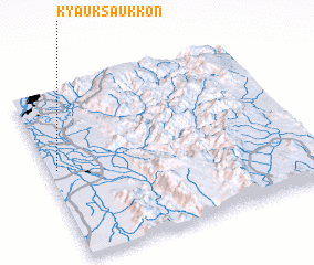 3d view of Kyauksaukkon