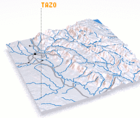 3d view of Tazo