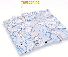3d view of Taunggaing