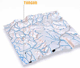 3d view of Tongon