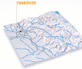 3d view of Shabingon