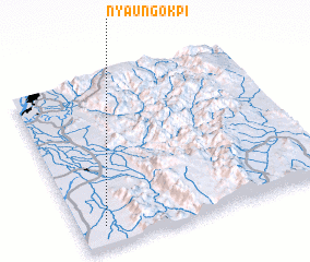 3d view of Nyaungokpi