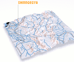 3d view of Shinngegya