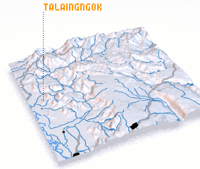 3d view of Talaingngok