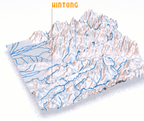 3d view of Wintong