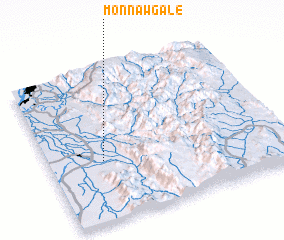 3d view of Monnawgale