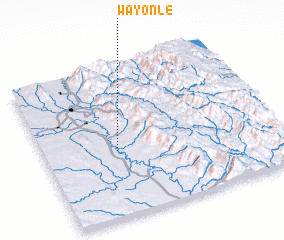 3d view of Wayonle