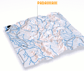 3d view of Padauk-aik