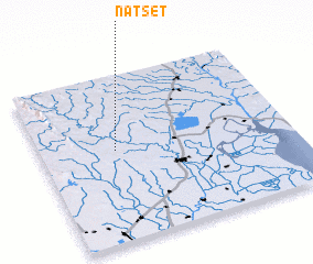 3d view of Natset