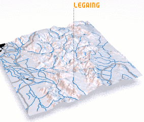 3d view of Legaing