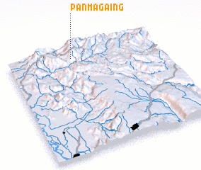 3d view of Panmagaing