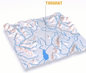 3d view of Tongkat