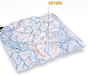 3d view of Oktwin