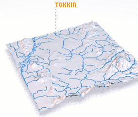 3d view of Tôkkin