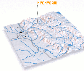 3d view of Myemyo Auk