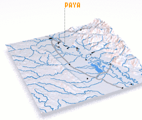 3d view of Paya