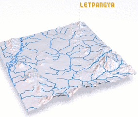 3d view of Letpangya