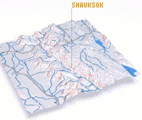 3d view of Shauksok