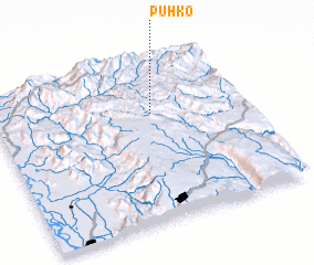 3d view of Puhko