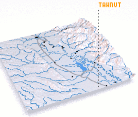 3d view of Tawnut