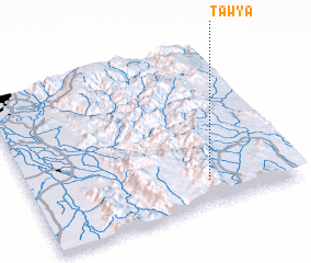 3d view of Tawya