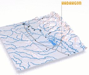 3d view of Wadawgon