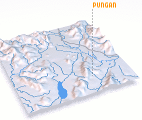 3d view of Pungan