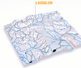 3d view of Loikalom
