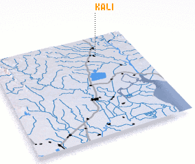 3d view of Kali