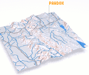 3d view of Pawdok