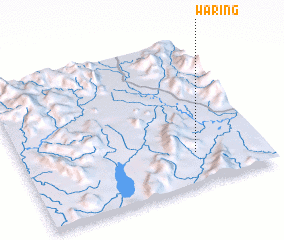 3d view of Waring