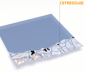 3d view of Cotmeusijid