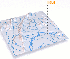 3d view of Mole