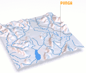 3d view of Punga