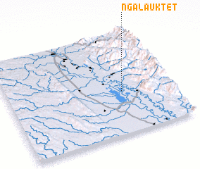 3d view of Ngalauktet